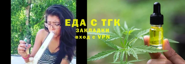 индика Аркадак