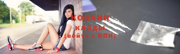 индика Аркадак