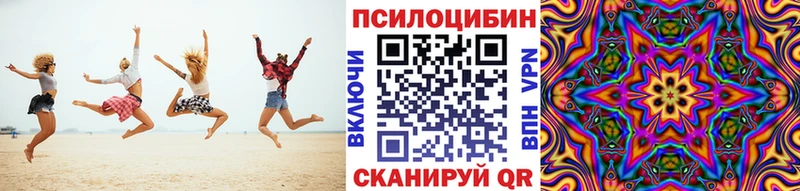где можно купить наркотик  Дудинка  Псилоцибиновые грибы Psilocybe 